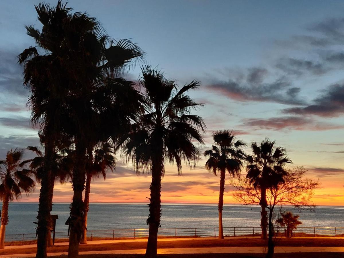 Zenia Hostel Playa Flamenca Kültér fotó